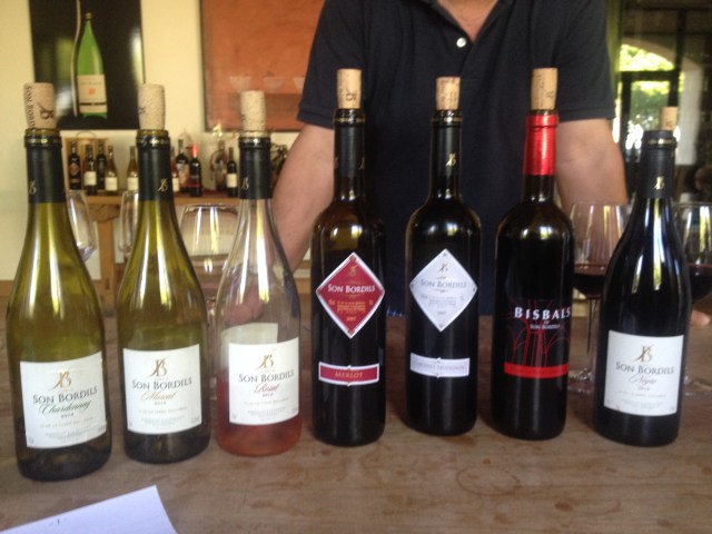 Son Bordils wine tasted
