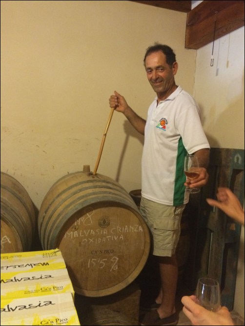 Bodega Ca'n Pico_7-3-15_#17