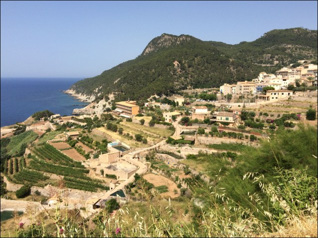 Bodega Ca'n Pico_7-3-15_#26