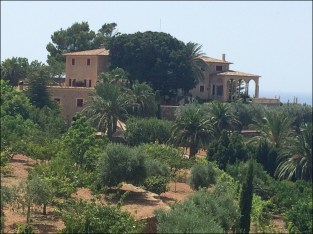 Bodega Ca'n Pico_7-3-15_#3