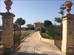 Bodega Ca'n Pico_7-3-15_#4