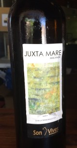 Son vives juxtamare front