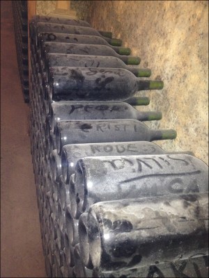 Jose Ferrer Magnum Bottles