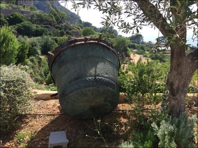 Bodega Son Vives_7-3-15_#5