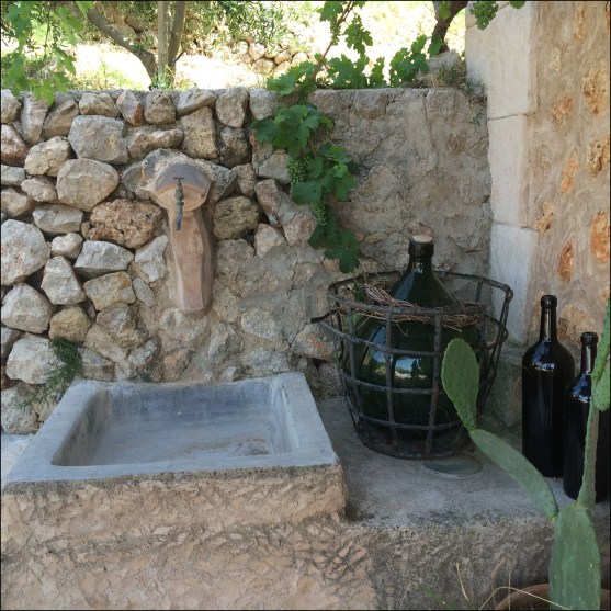 Bodega Son Vives bottles