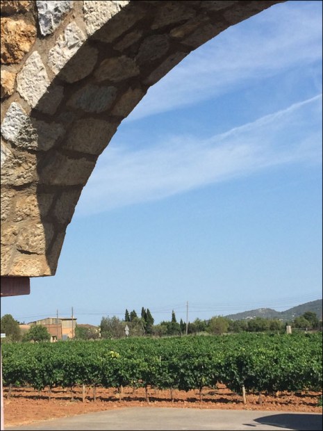 Macia Batle_7-9-15_#12