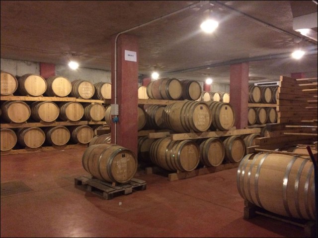 Macia Batle_7-9-15_#34