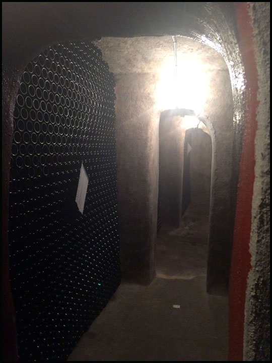 Pere Sede_7-13-15_#10