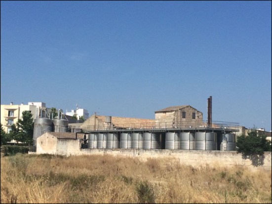 Pere Sede_7-13-15_#1