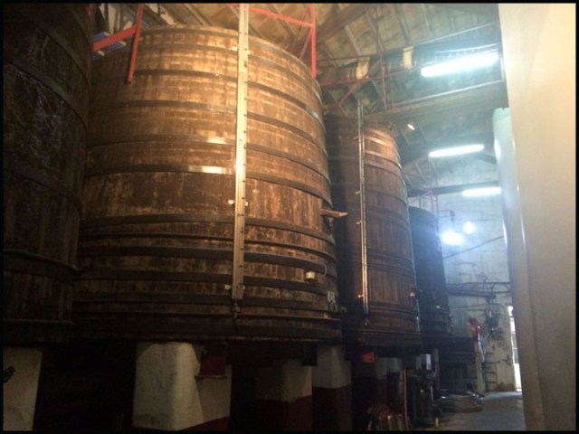 Pere Sede_7-13-15_#8