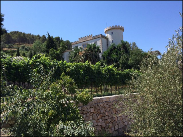 Castell Miquel_7-24-15_#2