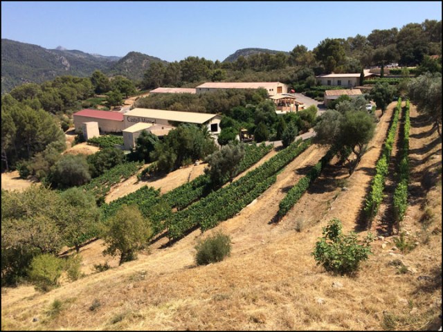 Castell Miquel_7-24-15_#8