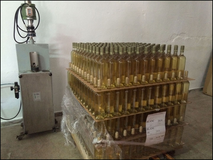 Jaume de Puntiró_7-24-15_#13