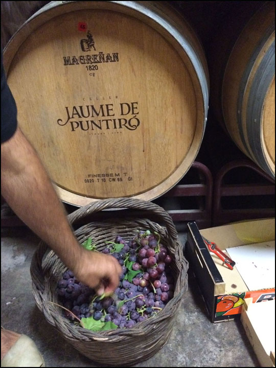 Jaume de Puntiró_7-24-15_#15