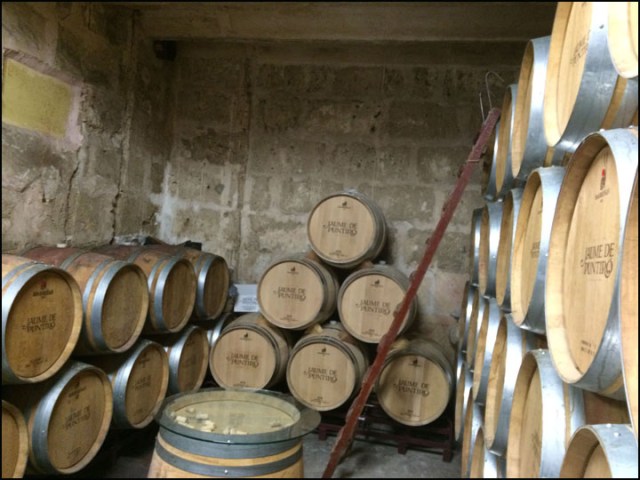 Jaume de Puntiró_7-24-15_#16