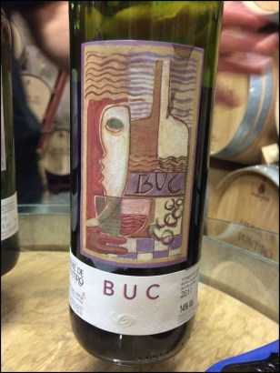 Jaume de Puntiró_Buc 2011