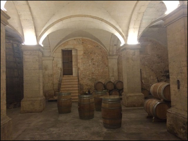 Miquel Oliver_7-29-15_#11