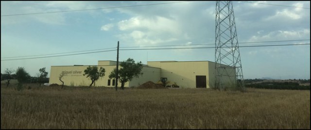 Miquel Oliver_7-29-15_#37