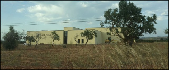 Miquel Oliver_7-29-15_#38