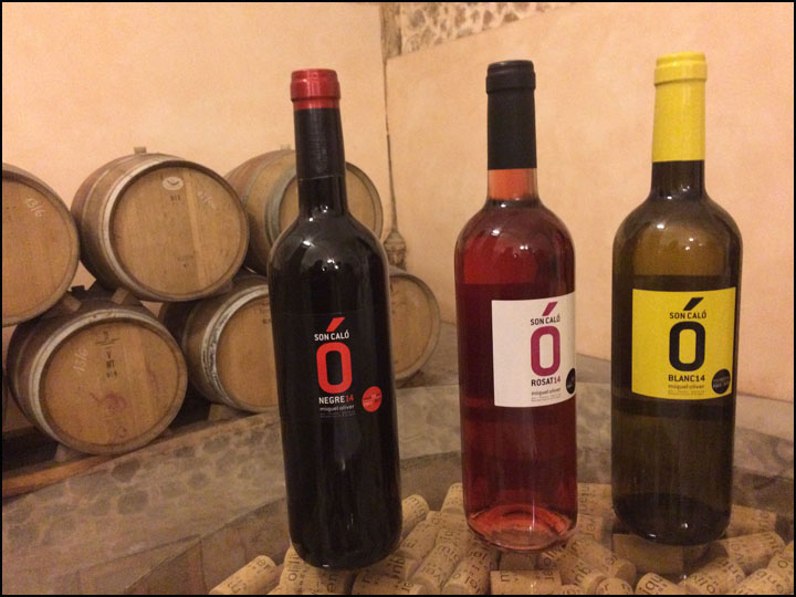 Miquel Oliver_Son Caló