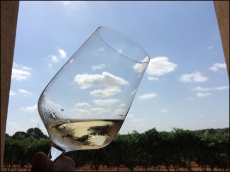 Son Prim_7-29-15_#14