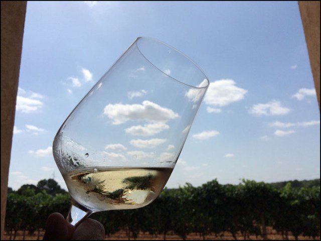 Son Prim_7-29-15_#14