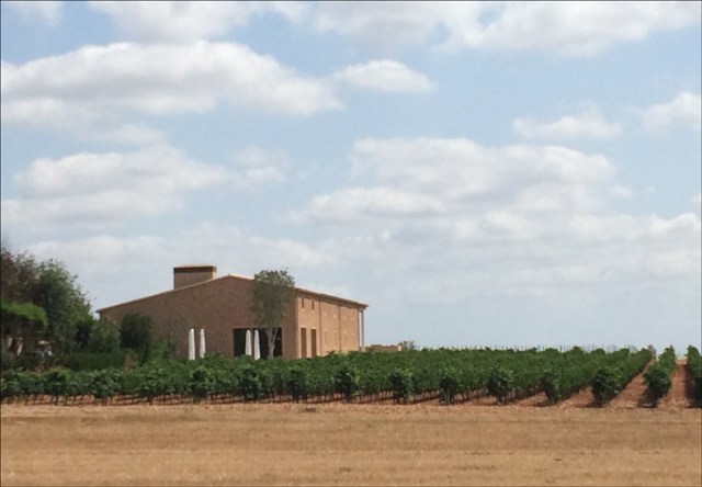 Son Prim_7-29-15_#1c