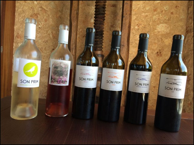 Son Prim_7-29-15_#29