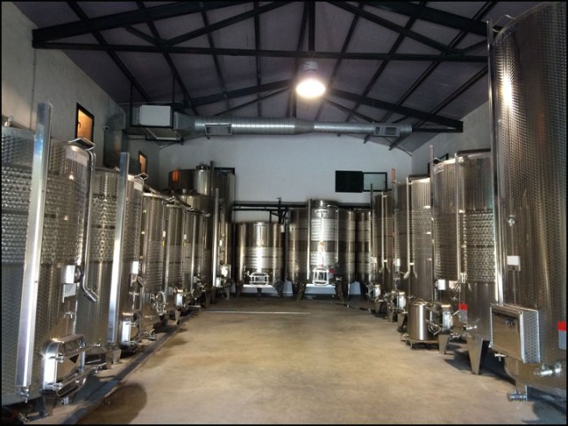 Son Prim_7-29-15_#35