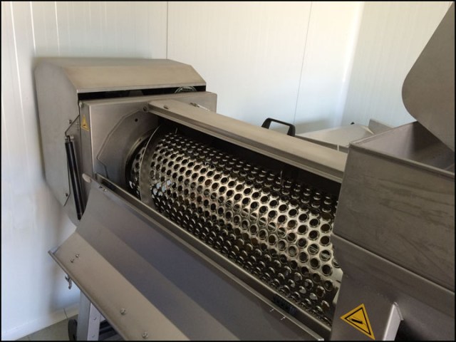 Son Prim_7-29-15_#40