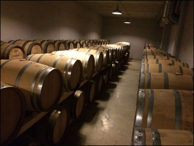 Son Prim_7-29-15_#42