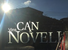 Vins Can Novell logo