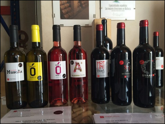 Miquel Oliver_Tasting Wines