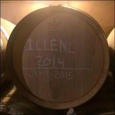 VinsToniGelabert_7-29-15_#16