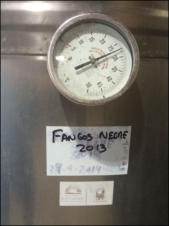 VinsToniGelabert_7-29-15_#19