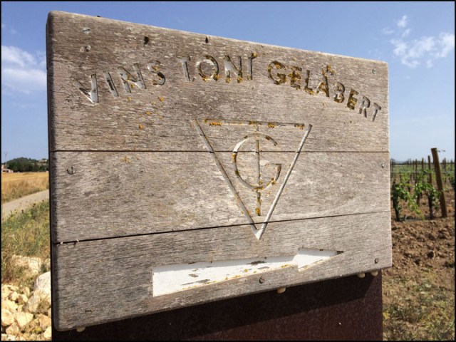 VinsToniGelabert_7-29-15_#2