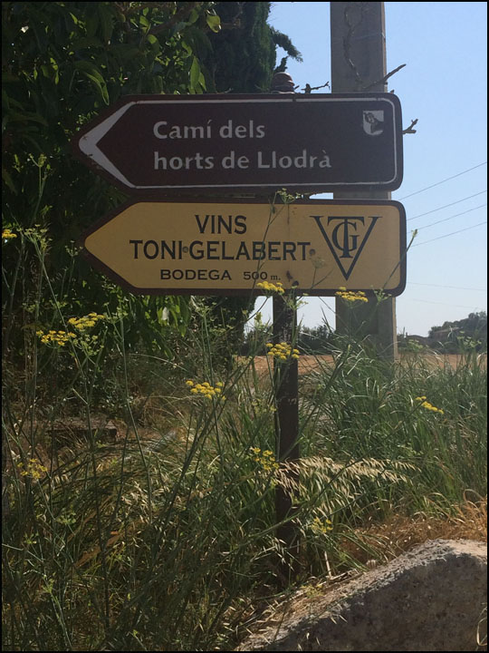 VinsToniGelabert_7-29-15_#3