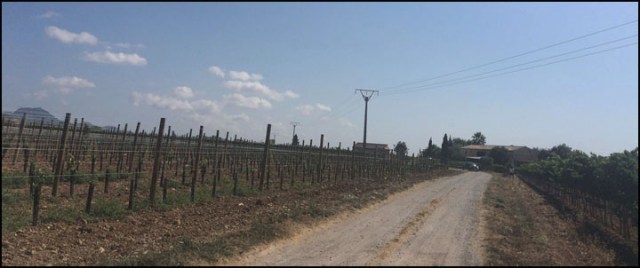 VinsToniGelabert_7-29-15_#4